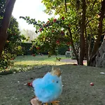 La Mia Casa Sul Con Vista Mozzafiato * Belgirate