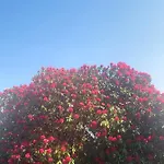 La Mia Casa Sul Con Vista Mozzafiato * Belgirate