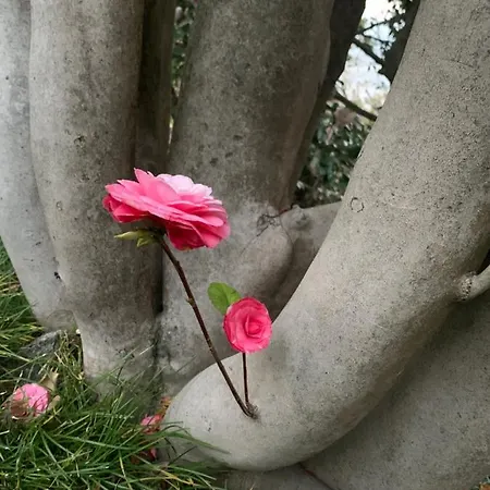 Apartmán La Mia Casa Sul Con Vista Mozzafiato