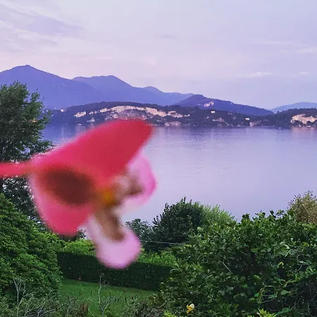 La Mia Casa Sul Con Vista Mozzafiato * Belgirate