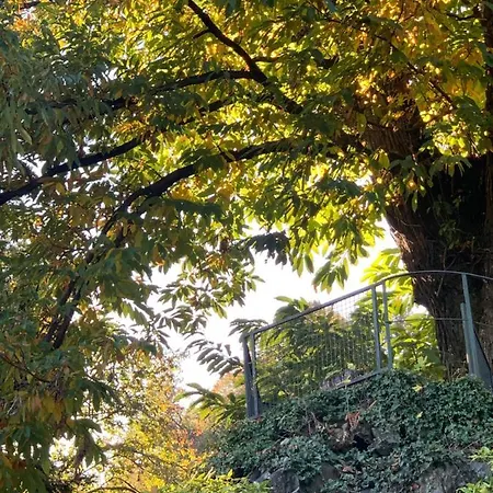 La Mia Casa Sul Con Vista Mozzafiato Apartmán Belgirate