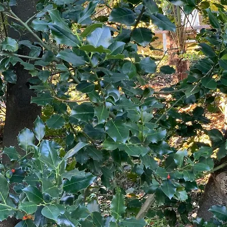 Apartmán La Mia Casa Sul Con Vista Mozzafiato Belgirate