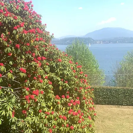 La Mia Casa Sul Con Vista Mozzafiato Belgirate