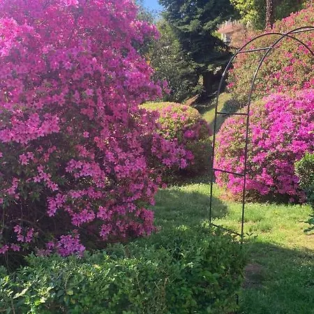 Apartmán La Mia Casa Sul Con Vista Mozzafiato Belgirate