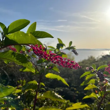 La Mia Casa Sul Con Vista Mozzafiato Appartamento Belgirate