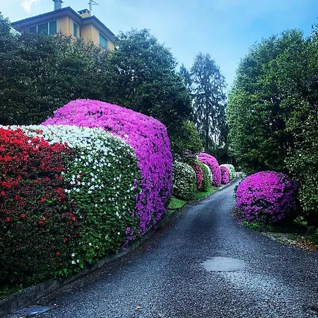 La Mia Casa Sul Con Vista Mozzafiato * Belgirate