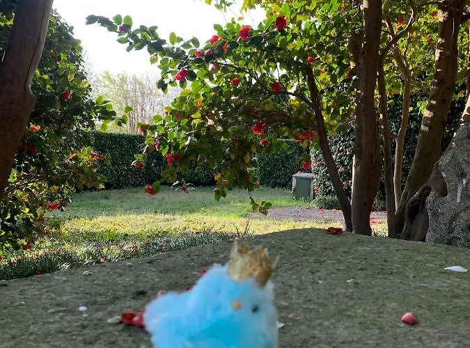 La Mia Casa Sul Con Vista Mozzafiato * בלגירטה