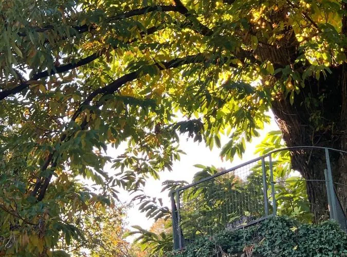 La Mia Casa Sul Con Vista Mozzafiato Appartement Belgirate