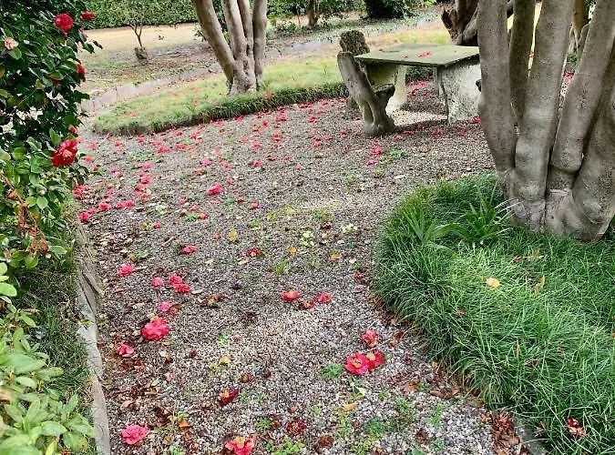 דירה La Mia Casa Sul Con Vista Mozzafiato