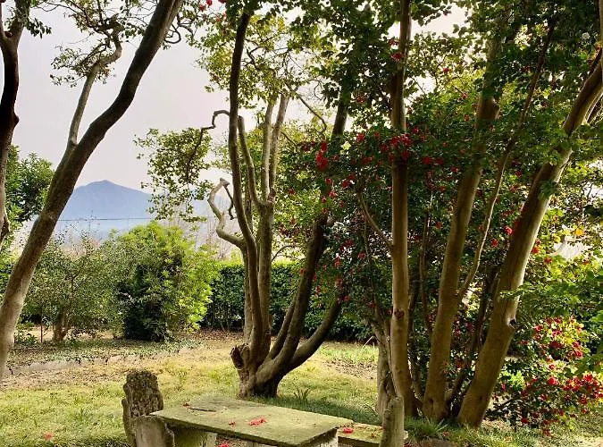 דירה La Mia Casa Sul Con Vista Mozzafiato בלגירטה