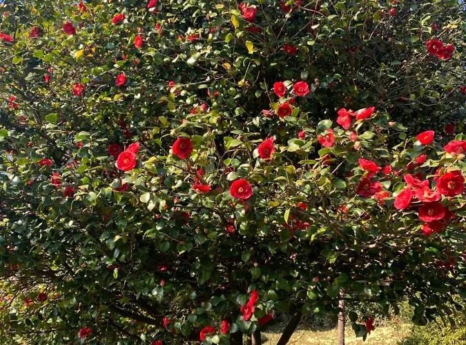 La Mia Casa Sul Con Vista Mozzafiato Appartement