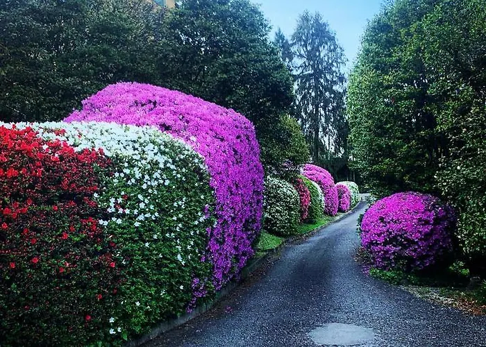 La Mia Casa Sul Con Vista Mozzafiato * בלגירטה